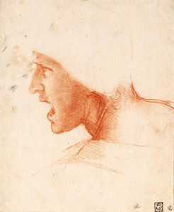 アンギアリの戦いに向かう戦士の研究 作： Leonardo da Vinci
